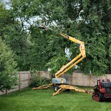 Mulching Services in Cherry Hill Mall, NJ